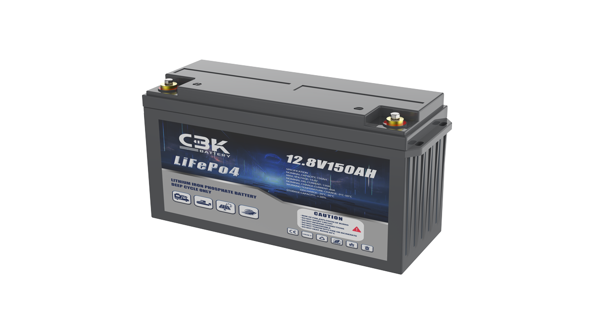 12V 100Ah LiFePO4 Battery Pack