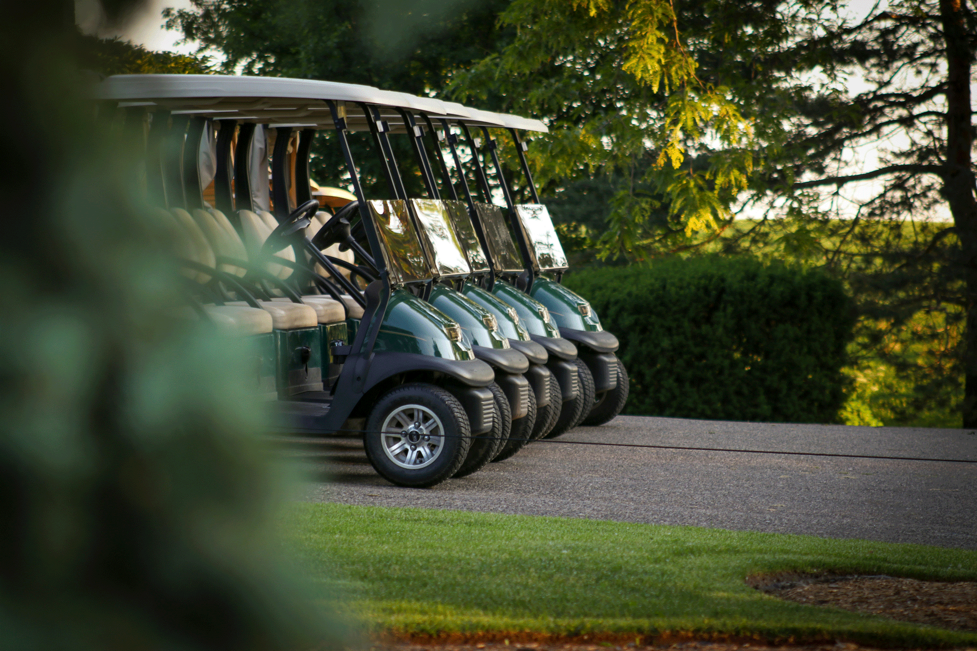 Leisure and Utility Mobility Background